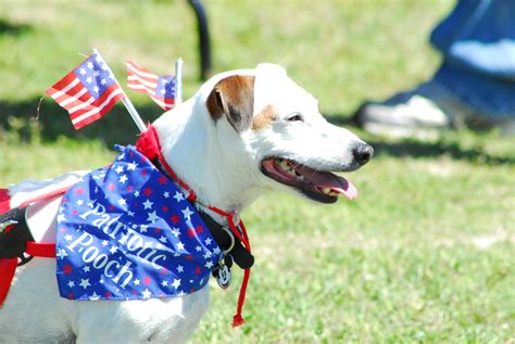 Canines charm crowd: Contestants put best paws forward