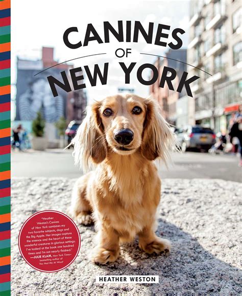 Download Canines Of New York By Heather Weston