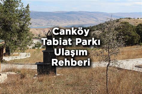 Cankoy Halı ve Koltuk Yıkama