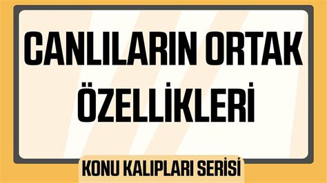 Canlıların Ortak Özellikleri (Konu Kalıpları Serisi) Watch on 1.