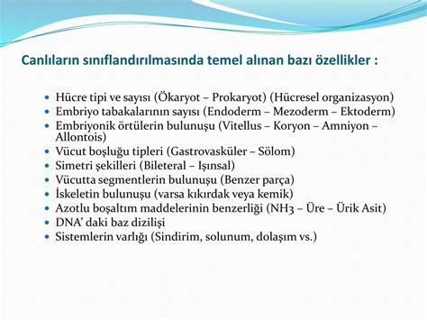 Canlıların sınıflandırılmasında temel alınan bazı özellikler.