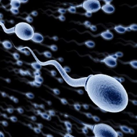 Canli sperm sayisi kaç olmali