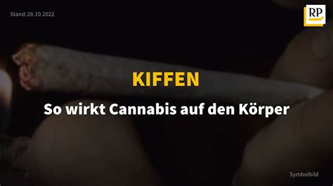 Cannabis, Marihuana und Co.: Wie wirkt sich Kiffen im Körper aus?