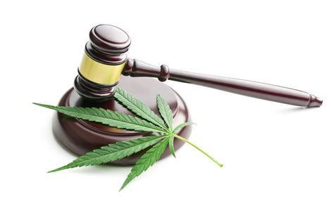 Cannabis Enforcement Following Legalization on January …