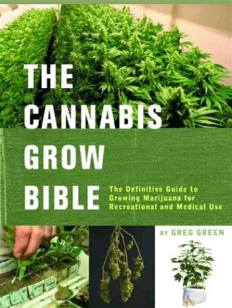 Cannabis Grow Bible - San Francisco Bay Area Independent …