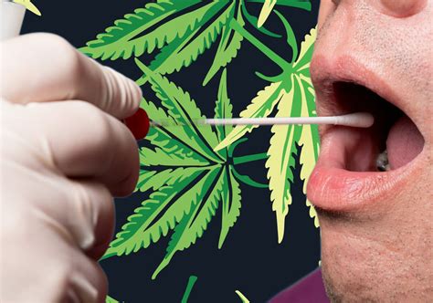 Cannabis Smokers Guide to Passing a Swab Drug Test