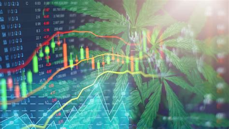 Cannabis Stocks ACB, CGC, TLRY Fall as Earnings Disappoint