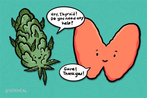 Cannabis Strains That May Help With Thyroid Conditions