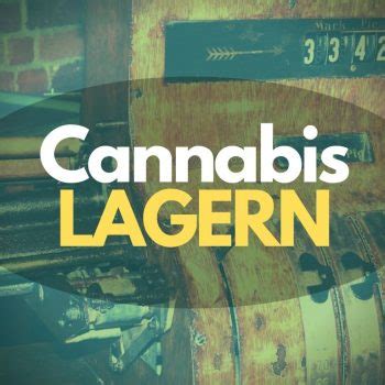 Cannabis lange haltbar aufbewahren - richtig lagern - Weedin