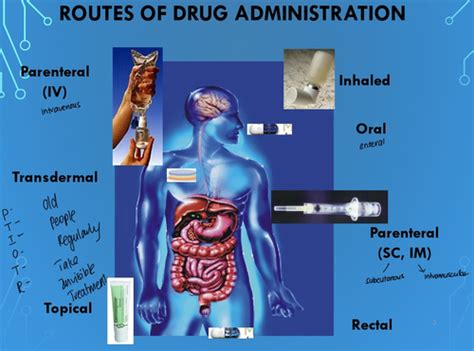 Cannabis routes of Administration Flashcards Quizlet