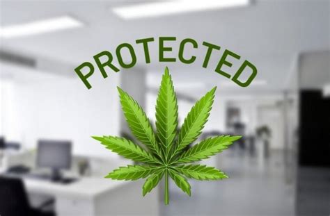 Cannabis users to be protected from workplace discrimination in California