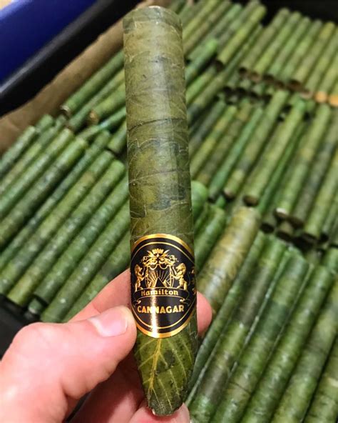 A cannagar is a work of art. A hand-crafted process that takes, in most cases, many months to create, age and age some more. ... and the inner glow from the gold leaf wrapper. The cannagar is ...