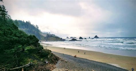 Cannon Beach, OR Wildlife Trails & Nature Encounters