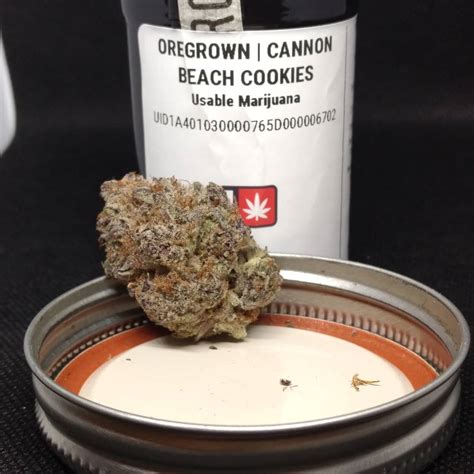 Cannon Beach Cookies Strain - Review & Info AskGrowers