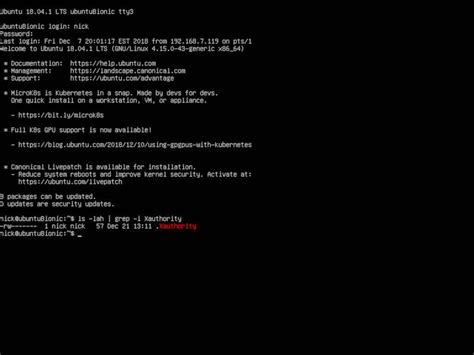 Cannot open dev ttyc4. Xauthority file.  I am currently running Gentoo Linux...