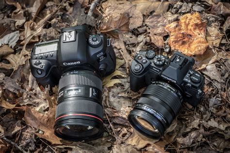 Canon 5D Mark IV Review - Field Test Part I