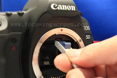 Canon 5d mark ii manual focus screen. - Student solutions manual study guide physics ruskell.