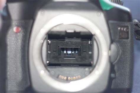 Canon 5d mirror reflector repair manual. - Houghton mifflin geometry solution key solutions manual.