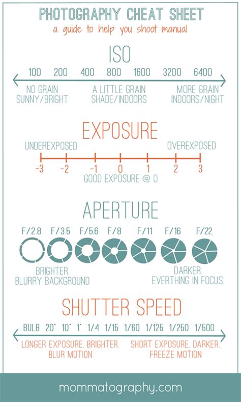 Canon Camera Settings Cheat Sheet