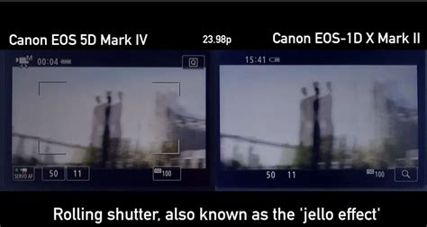 Canon EOS 1D X Mark II vs Canon EOS 5D Mark IV Versus. 