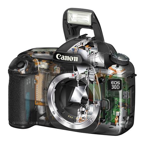 veodersti.rgarabwor.edu.pl. 