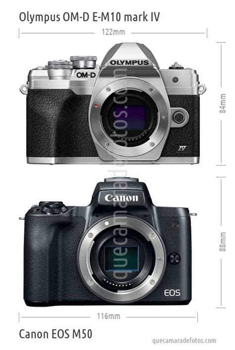 Canon EOS 450D vs Olympus OM-D E-M10 Mark IV.