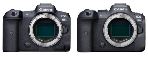 Canon EOS R5 vs EOS R6 - Photography Life