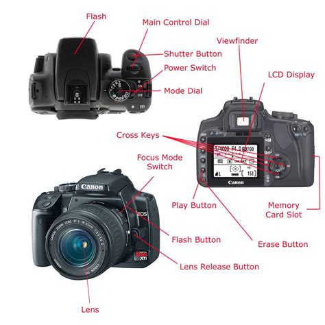 Canon eos 1ds digital slr camera parts manual. - Cummins pcc2100 diagrama de cableado manual del operador.