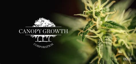 Complete Canopy Growth Corp. stock information by Barron's. View