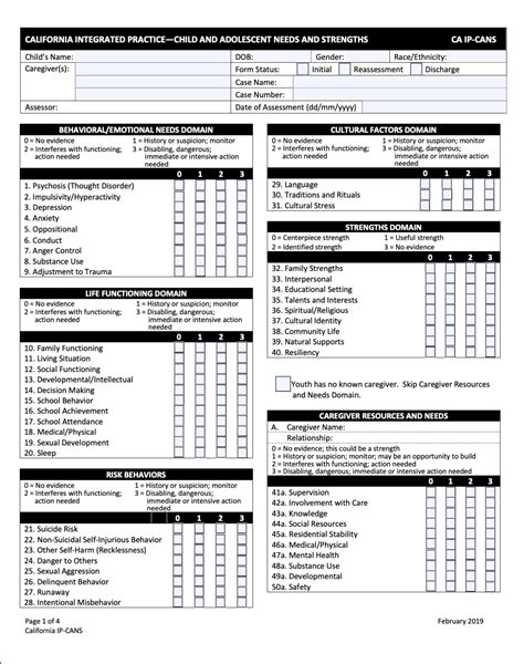 Cans assessment form.  Manual Exhibit 2 &ndash; Child and adolescent needs and strengths comprehen...