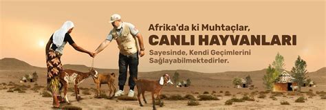 Cansuyu Halı ve Koltuk Yıkama