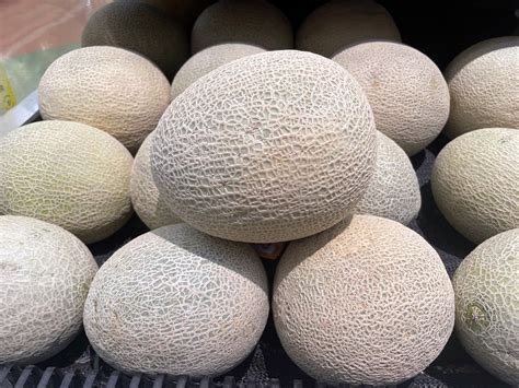 Cantaloupe sold in 19 states, including IL, recalled over possible salmonella contamination