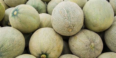 Cantaloupes sold in 19 states, including DC, recalled due to risk of salmonella