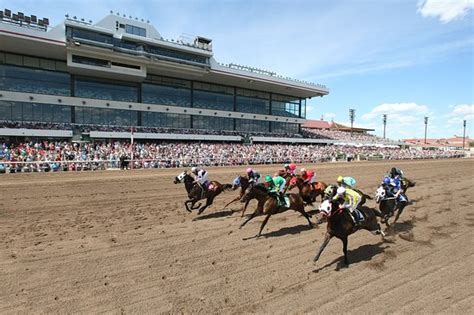 Canterbury park shakopee mn. Canterbury Park is the Twin Cities' premier home to live horse racing, simulcast racing, and a 24/7 card club featuring Blackjack, Texas Hold'em and more. Duration: 2-3 hours. Meets animal welfare guidelines. Suggest edits to improve what we show. Improve this listing. 