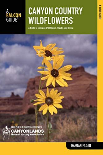 Canyon country wildflowers a guide to common wildflowers shrubs and trees wildflower series. - Psychische einwirkungen im nachbarrecht des bgb.