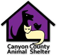 Canyon county animal shelter caldwell idaho. West Valley Humane Society, formerly Canyon County Animal Shelter, is a nonprofit organization dedicated to encouraging the humane treatment of animals. Our funding … 