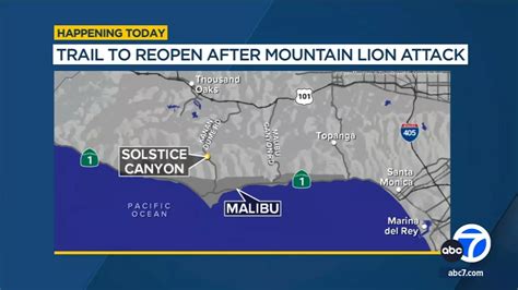 Canyon in Malibu closed after mountain lion tries to attack dog, injures hiker