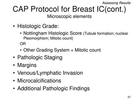 Cap Protocol Breast 2024