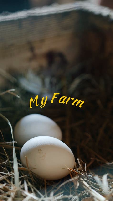 Capcut Farming Template