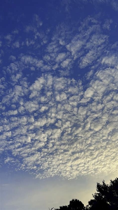 Capcut template dance hindi.  Pippit lets you customize effortlessly&mdash;add text, effects, and...