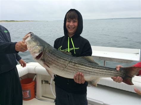 Cape Cod Family Fishing Charter MA Barnstable Harbor