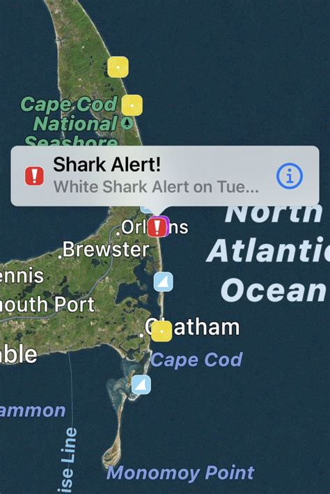 Cape Cod shark sightings: Great white shark was ‘circling’ 50 feet from Orleans shore