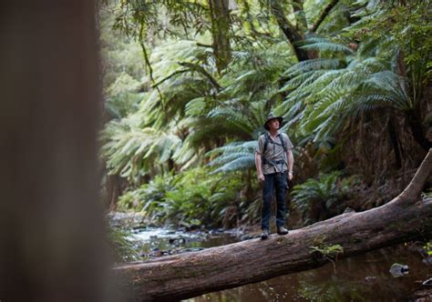 Cape Otways Camping - Visit Great Ocean Road