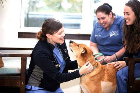 Cape cod veterinary specialists. Our veterinary cardiologists specialize in evaluating and treating dogs and cats with symptoms of heart disease, which may include: Abdominal swelling. Collapse. Cough. Difficulty breathing or labored breathing, … 