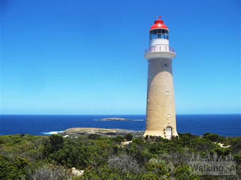 Cape du Couedic Lighthouse景點評價－Cape du Couedic …