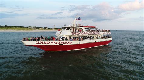 Cape may whale watcher. Join us for a year of whale and dolphin watching with boat cruises in Cape May, N.J. The season pass is not valid on Pelagic Cruises, Winter Wildlife Cruises, or other specialty cruises. Frequently Asked Questions: ... Cape May Whale Watch & Research Center (609)-898-0055 info@capemaywhalewatch.com 1231 Rt 109 (South Jersey Marina), Cape … 
