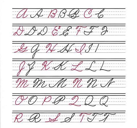 Capital Cursive Letters in 2023 Capital cursive letters, Cursive