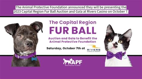 Capital Region Fur Ball to be held at Rivers Casino