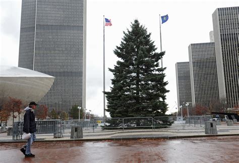 Capitol Christmas Tree arrives at Empire State Plaza