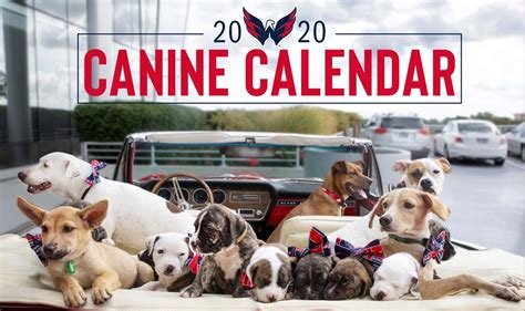 Caps Dog Calendar
